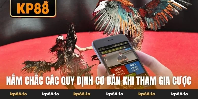 Nắm chắc các quy định cơ bản khi tham gia cá cược